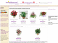 floristmorocco.com