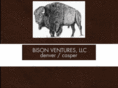 bisonventures.com