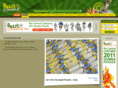 brazilcarnival.com.br