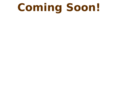 coachpossible.com
