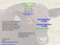 cashcattleco.com