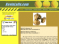kevinlallu.com