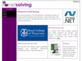 netsolving.com