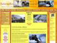 solar-4-rent.com