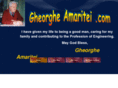 gheorgheamaritei.com