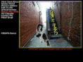 dancerizzo.com