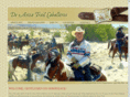 deanzaride.com