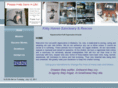kittyhavenrescue.org