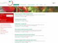 tomatoacademy.com