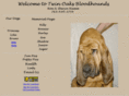 twinoaksbh.com