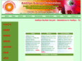 aadityaenergyfoundation.org
