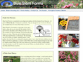bluestemflowers.com