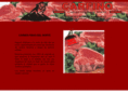 carfino.com