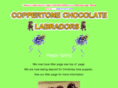 coppertonelabs.com