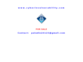 cyberinvulnerability.com