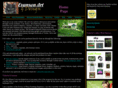 evansonart.com