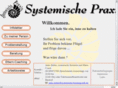 systemische-beratung-mtk.de