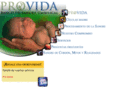 bsuprovida.com