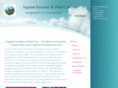 ingramsecurity.net