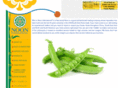 noon-intl.com