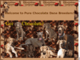 purechocolatedanebreeders.com