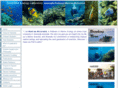 reeffishecology.com