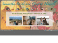 samandgreggetmarried.com