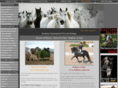 scothorse.co.uk
