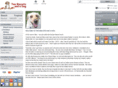 twobiscuitsandadog.com