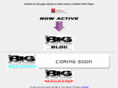 big-in-the-game.com
