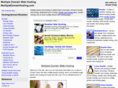 multipledomainhosting.com