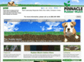 pinnaclerubbermulch.net