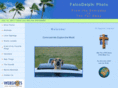 falcodelphi.com