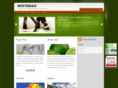 hostergo.com