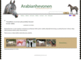 arabianhevonen.net