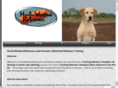 huntingweatherretrievers.com