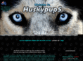 huskypup5.com