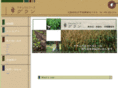 nf-grain.com
