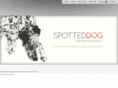 spotteddog-ent.com