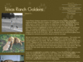 texasranchgoldens.com