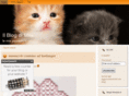 ilblogdimile.net