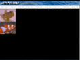 netoverload.com