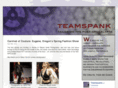 teamspankapparel.com