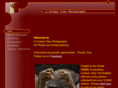 auniqueviewphotography.com