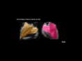 dbcovers.co.uk