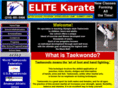 elitekaratesa.com