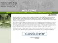 hudsoncartercpas.com