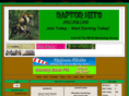 raptorhits.info