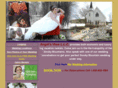 smokymountaincabinsandweddings.com