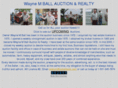 wballauction-realty.com